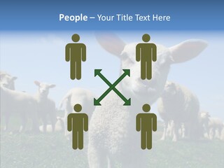 Farming Farm Roast PowerPoint Template