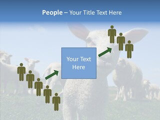 Farming Farm Roast PowerPoint Template