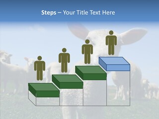 Farming Farm Roast PowerPoint Template