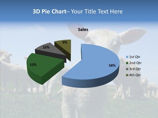 Farming Farm Roast PowerPoint Template