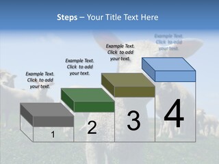 Farming Farm Roast PowerPoint Template