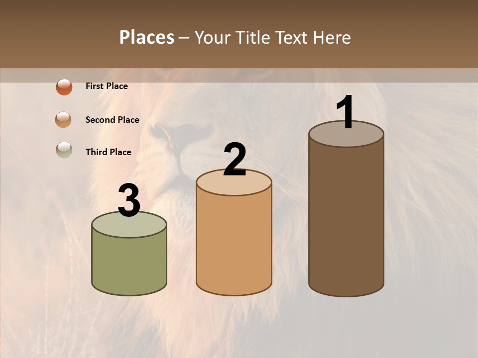 Stare Roar Africa PowerPoint Template