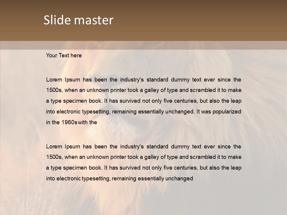 Stare Roar Africa PowerPoint Template