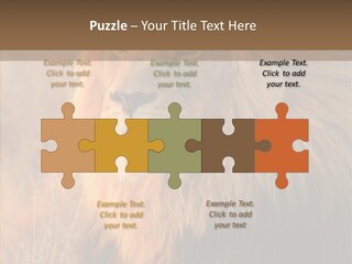 Stare Roar Africa PowerPoint Template