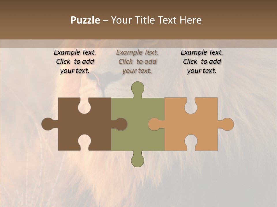 Stare Roar Africa PowerPoint Template