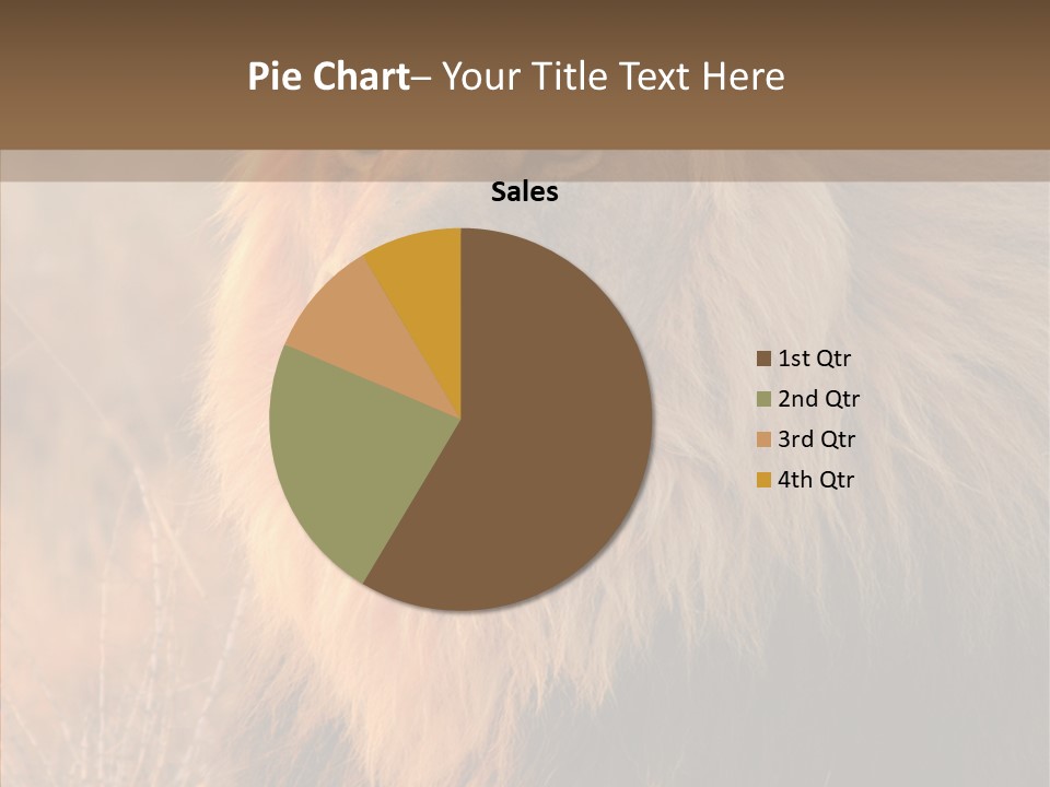 Stare Roar Africa PowerPoint Template