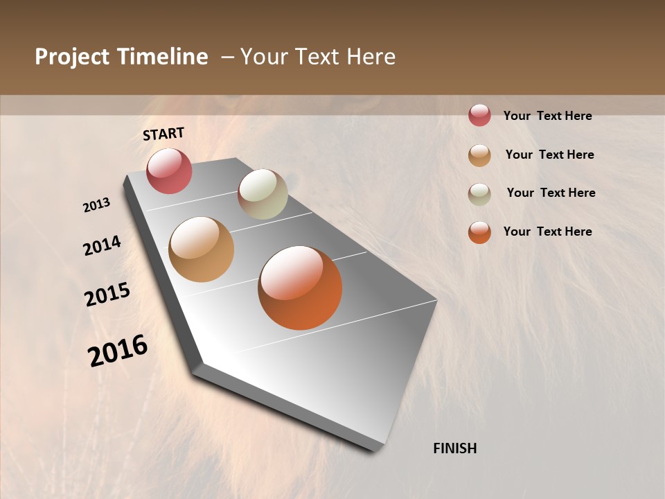 Stare Roar Africa PowerPoint Template