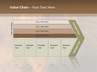 Stare Roar Africa PowerPoint Template