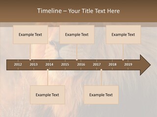Stare Roar Africa PowerPoint Template