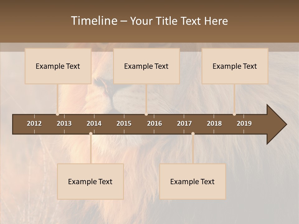 Stare Roar Africa PowerPoint Template