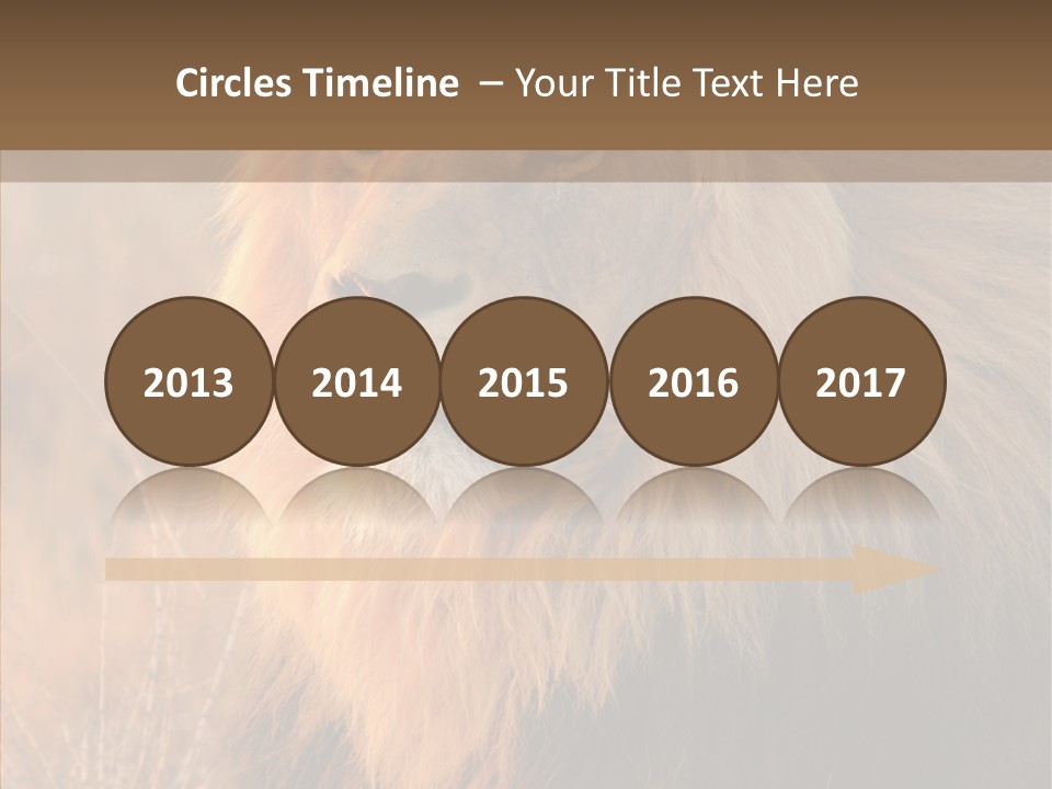 Stare Roar Africa PowerPoint Template