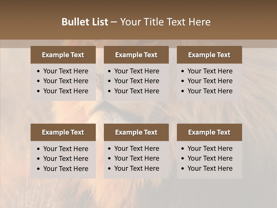 Stare Roar Africa PowerPoint Template
