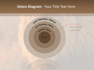 Stare Roar Africa PowerPoint Template