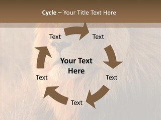 Stare Roar Africa PowerPoint Template