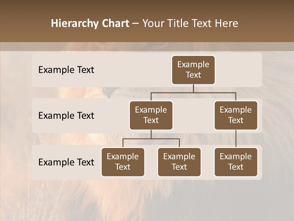 Stare Roar Africa PowerPoint Template