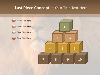Stare Roar Africa PowerPoint Template