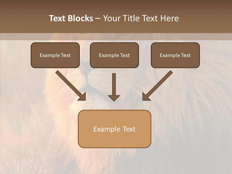 Stare Roar Africa PowerPoint Template