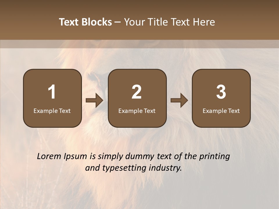 Stare Roar Africa PowerPoint Template