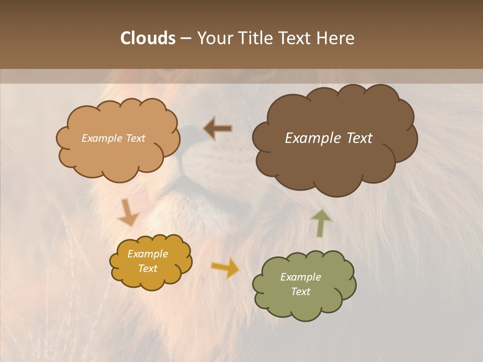 Stare Roar Africa PowerPoint Template