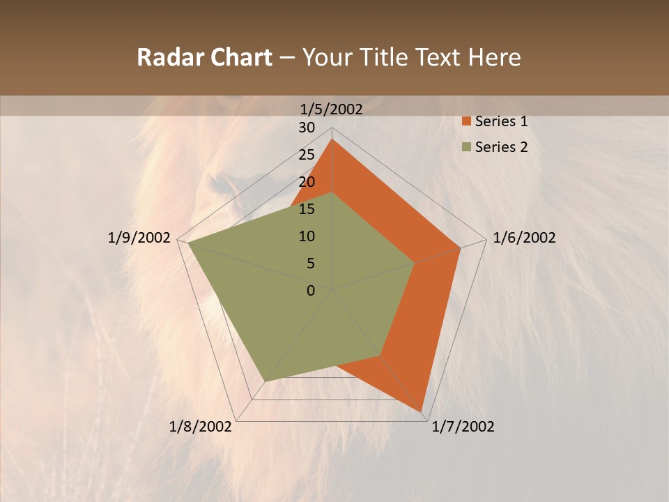 Stare Roar Africa PowerPoint Template
