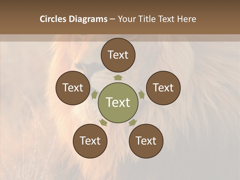 Stare Roar Africa PowerPoint Template