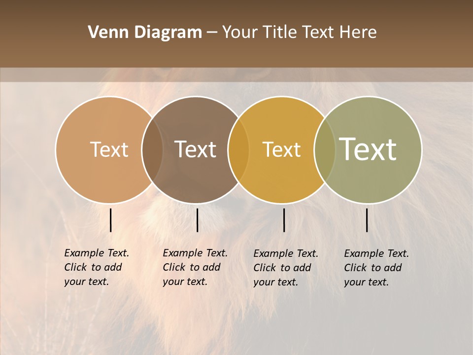 Stare Roar Africa PowerPoint Template