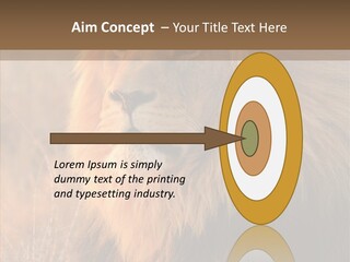 Stare Roar Africa PowerPoint Template