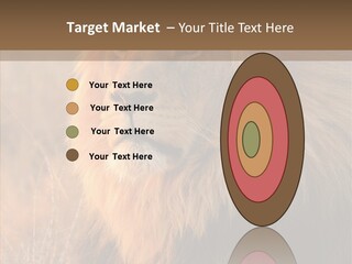 Stare Roar Africa PowerPoint Template