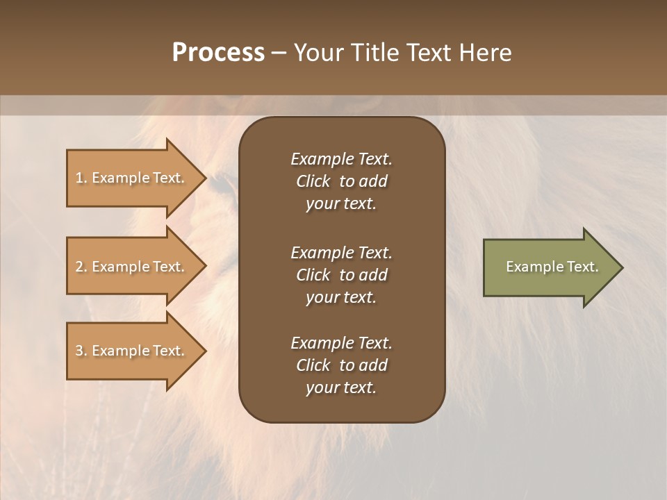 Stare Roar Africa PowerPoint Template
