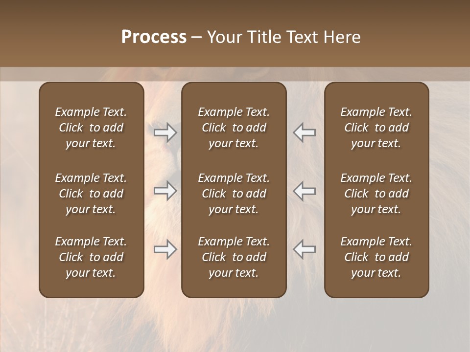Stare Roar Africa PowerPoint Template