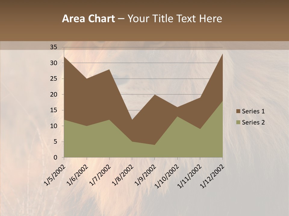 Stare Roar Africa PowerPoint Template