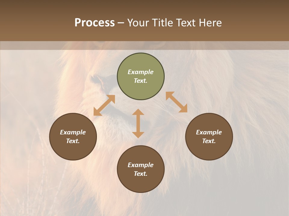 Stare Roar Africa PowerPoint Template