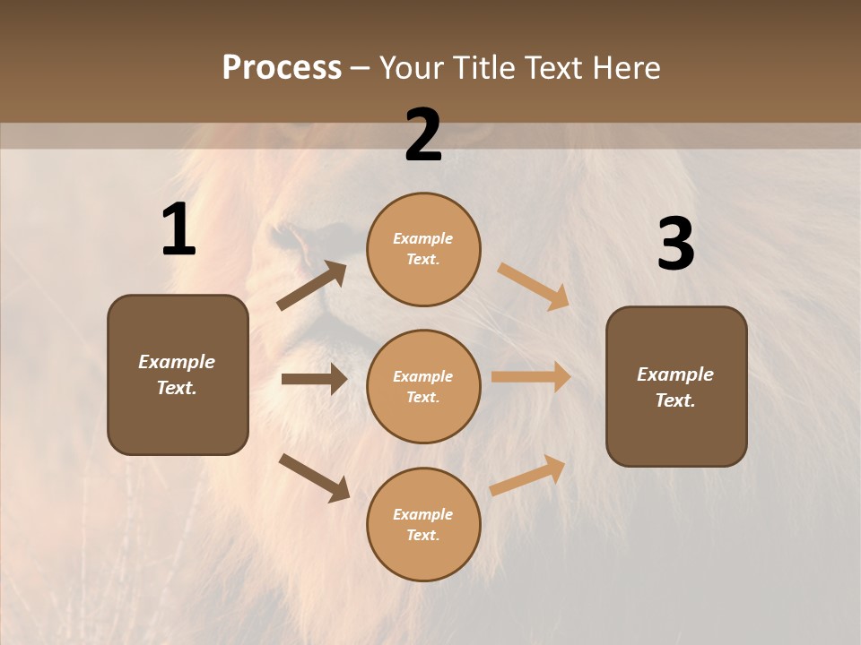 Stare Roar Africa PowerPoint Template