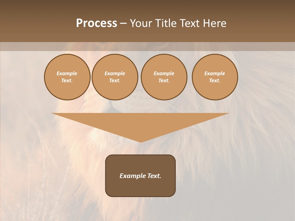 Stare Roar Africa PowerPoint Template