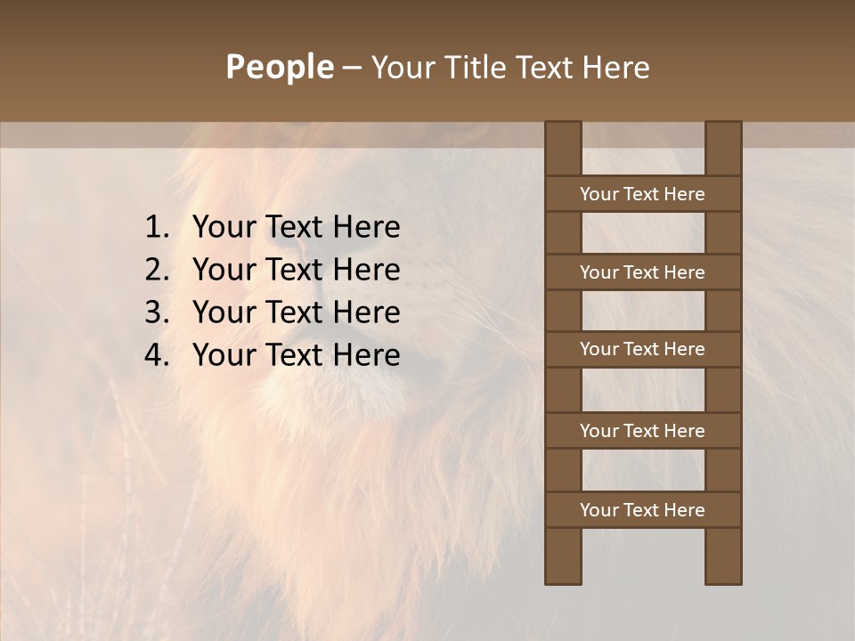 Stare Roar Africa PowerPoint Template