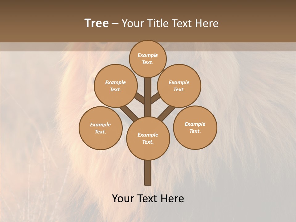 Stare Roar Africa PowerPoint Template