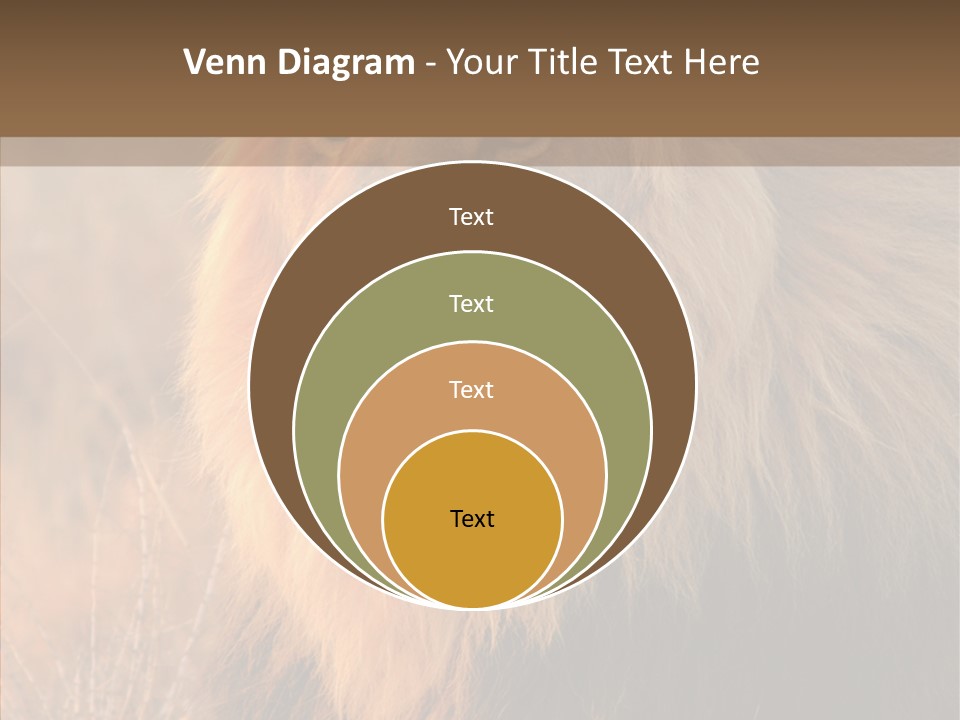 Stare Roar Africa PowerPoint Template