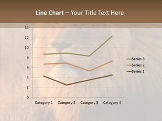 Stare Roar Africa PowerPoint Template
