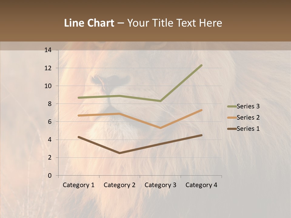 Stare Roar Africa PowerPoint Template