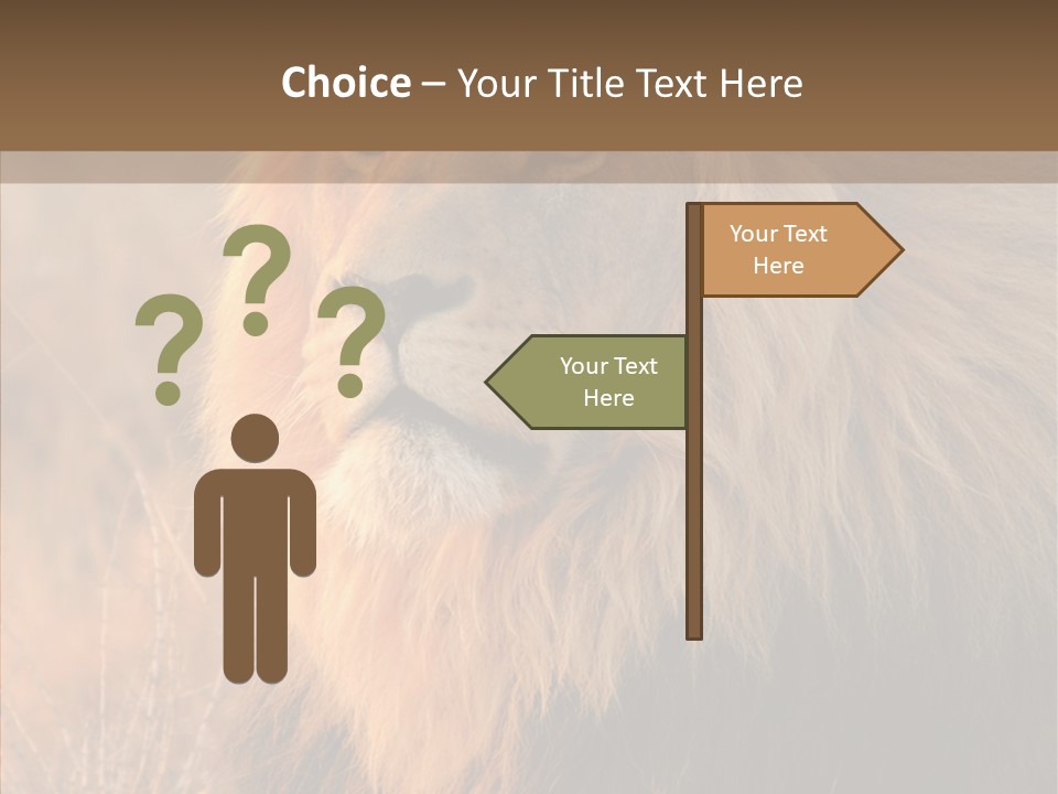 Stare Roar Africa PowerPoint Template