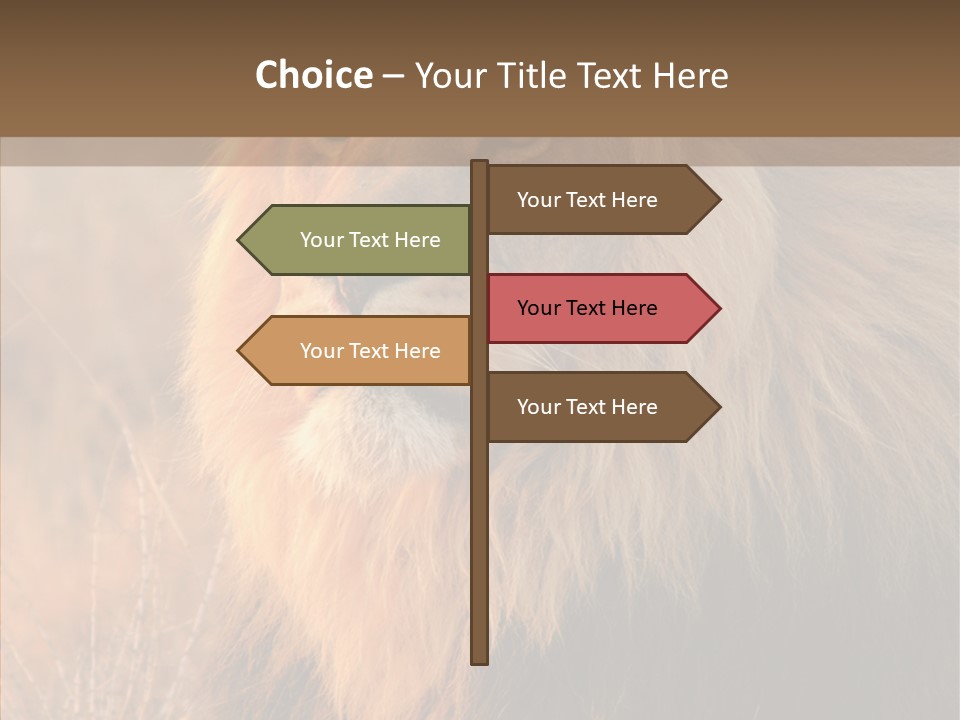 Stare Roar Africa PowerPoint Template