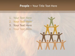 Stare Roar Africa PowerPoint Template