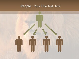 Stare Roar Africa PowerPoint Template