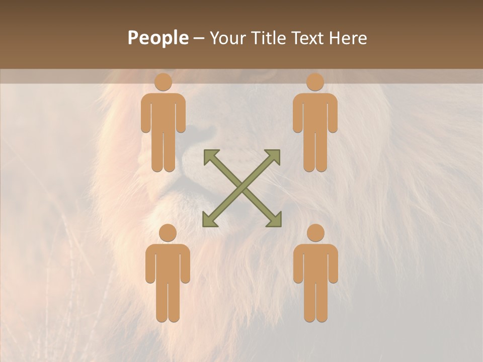 Stare Roar Africa PowerPoint Template