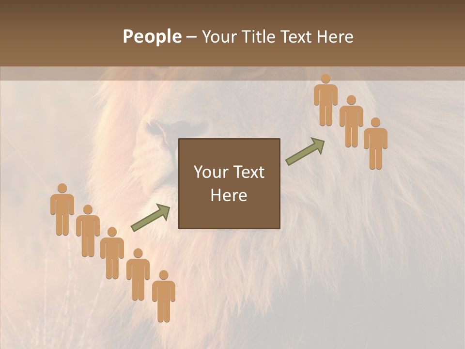 Stare Roar Africa PowerPoint Template