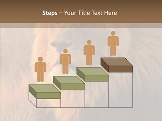 Stare Roar Africa PowerPoint Template
