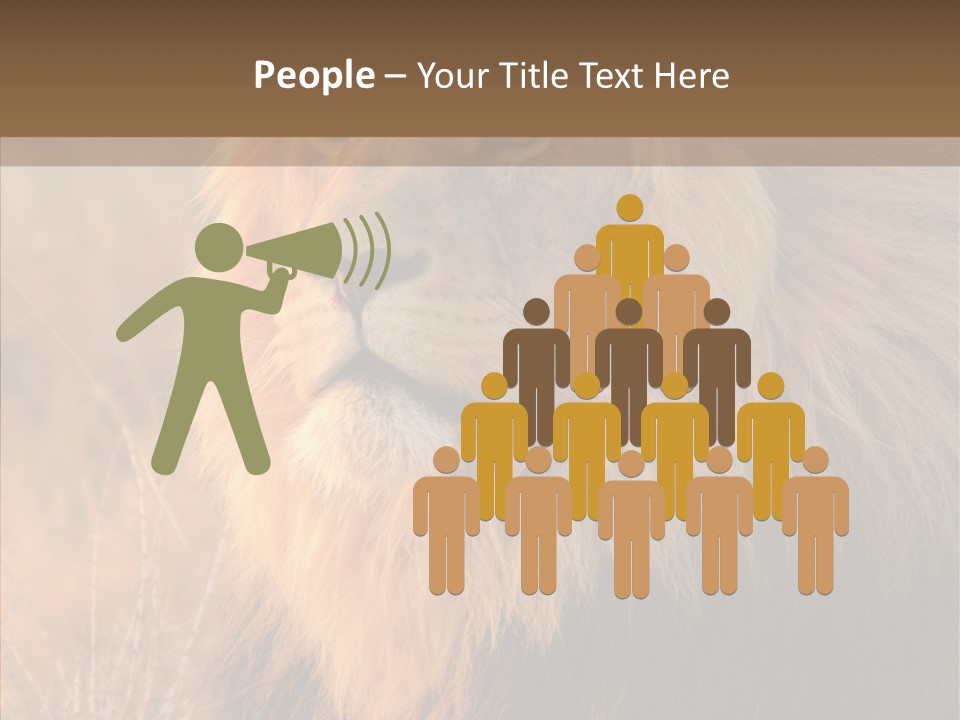 Stare Roar Africa PowerPoint Template