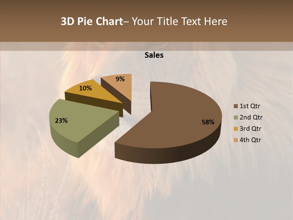 Stare Roar Africa PowerPoint Template
