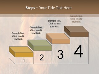 Stare Roar Africa PowerPoint Template