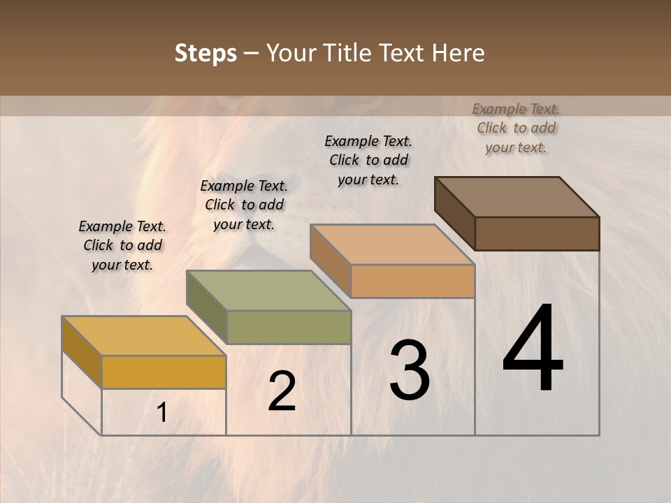 Stare Roar Africa PowerPoint Template